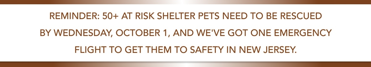 REMINDER: 50+ AT RISK SHELTER PETS NEED TO BE RESCUED BY WEDNESDAY, OCTOBER 1, AND WE'VE GOT ONE EMERGENCY FLIGHT TO GET THEM TO SAFETY IN NEW JERSEY.