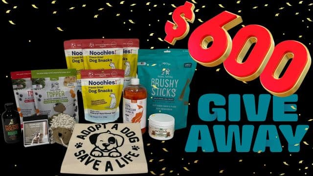🎉 Ultimate Dog Lover's Giveaway – $600+ in Prizes!