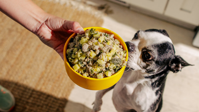 Add delight to your dog’s day with 40% off Nom Nom meals