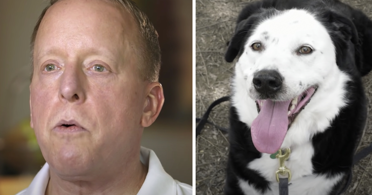 Guy Told He Had 5 Years To Live, So He Goes To A Shelter And Asks For An ‘Obese’, Middle-Aged Dog