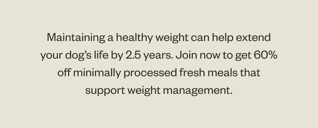 Maintaining A Healthy Weight
