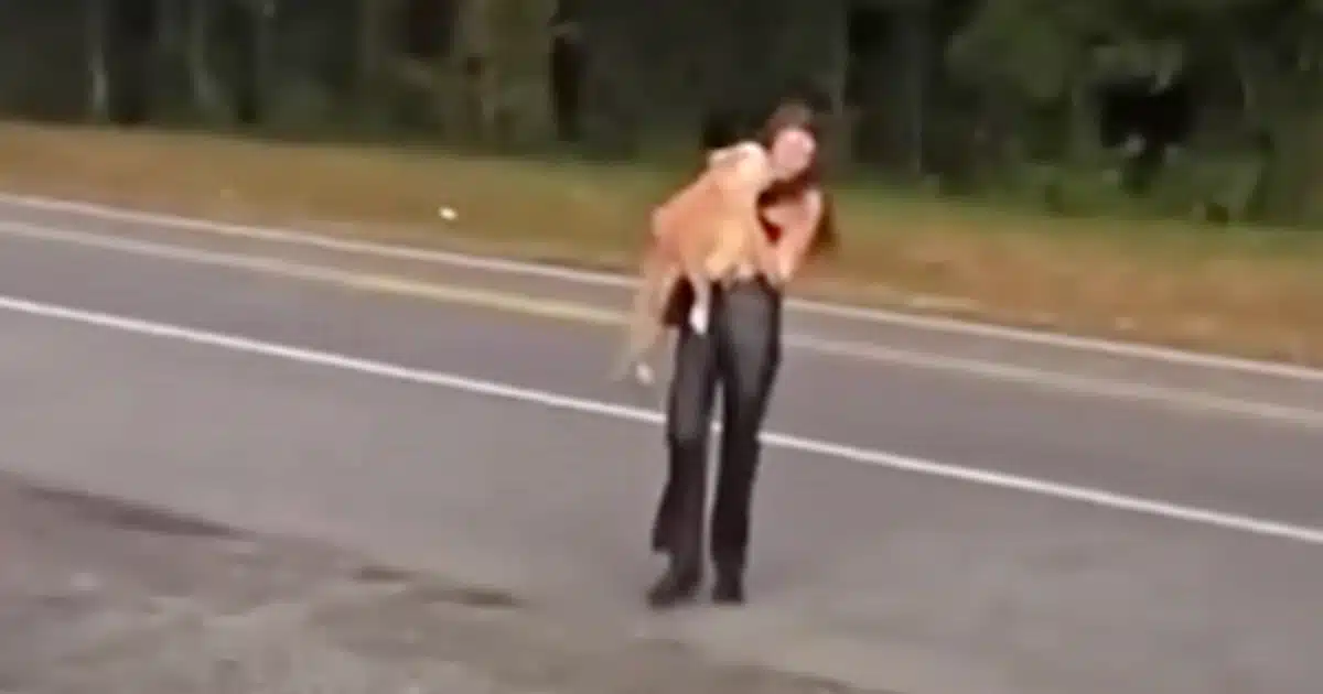 She Saw a Pit Bull on the Highway, And Refused to Walk Away