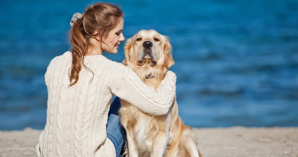 Top 7 Dog Breeds That Will Be Your Best Friend Forever