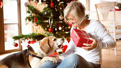 Holiday Gift Guide For Dog Lovers 2023