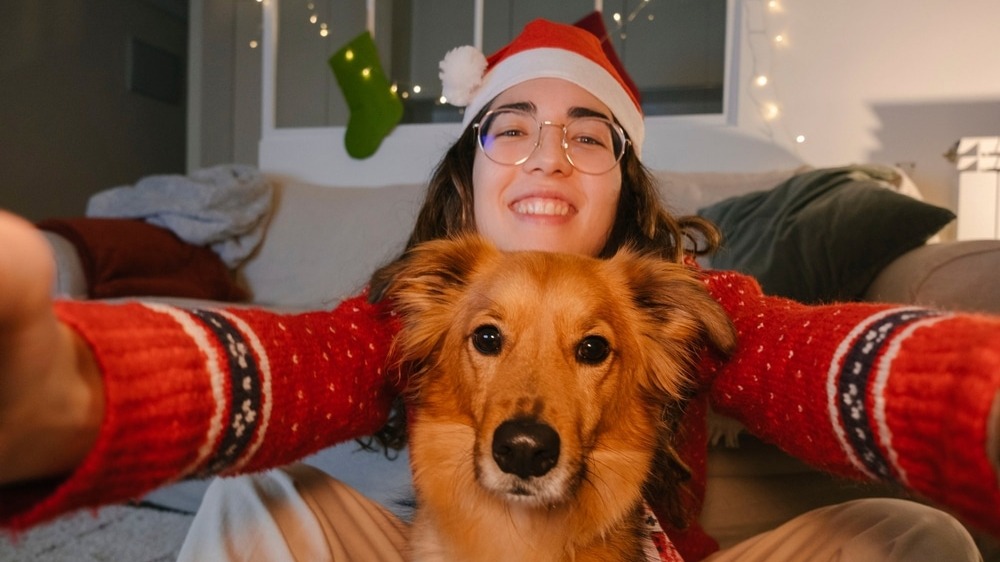 Paw-fect Holiday Gifts for Your Pup and the Dog Fan in Your Life