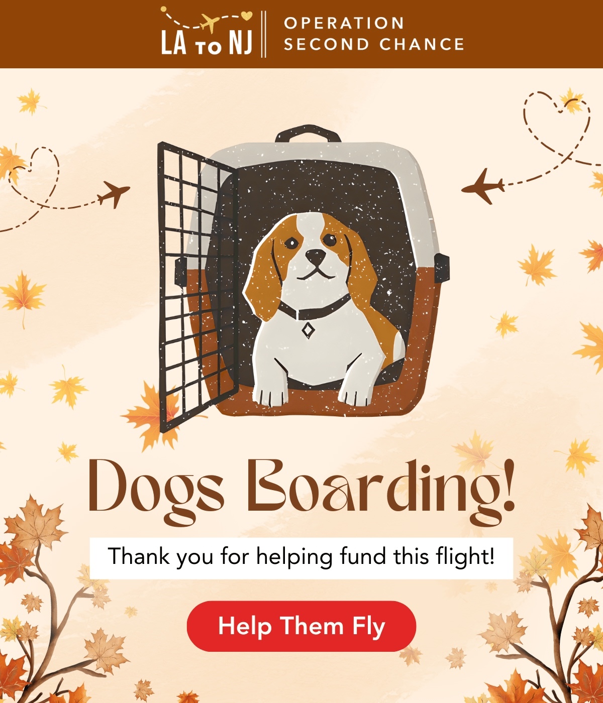Turning A New Leaf Rescue Flight - When Seasons Change, So Do Lives. Help Fly A Planeload of Shelter Pets To Safety!