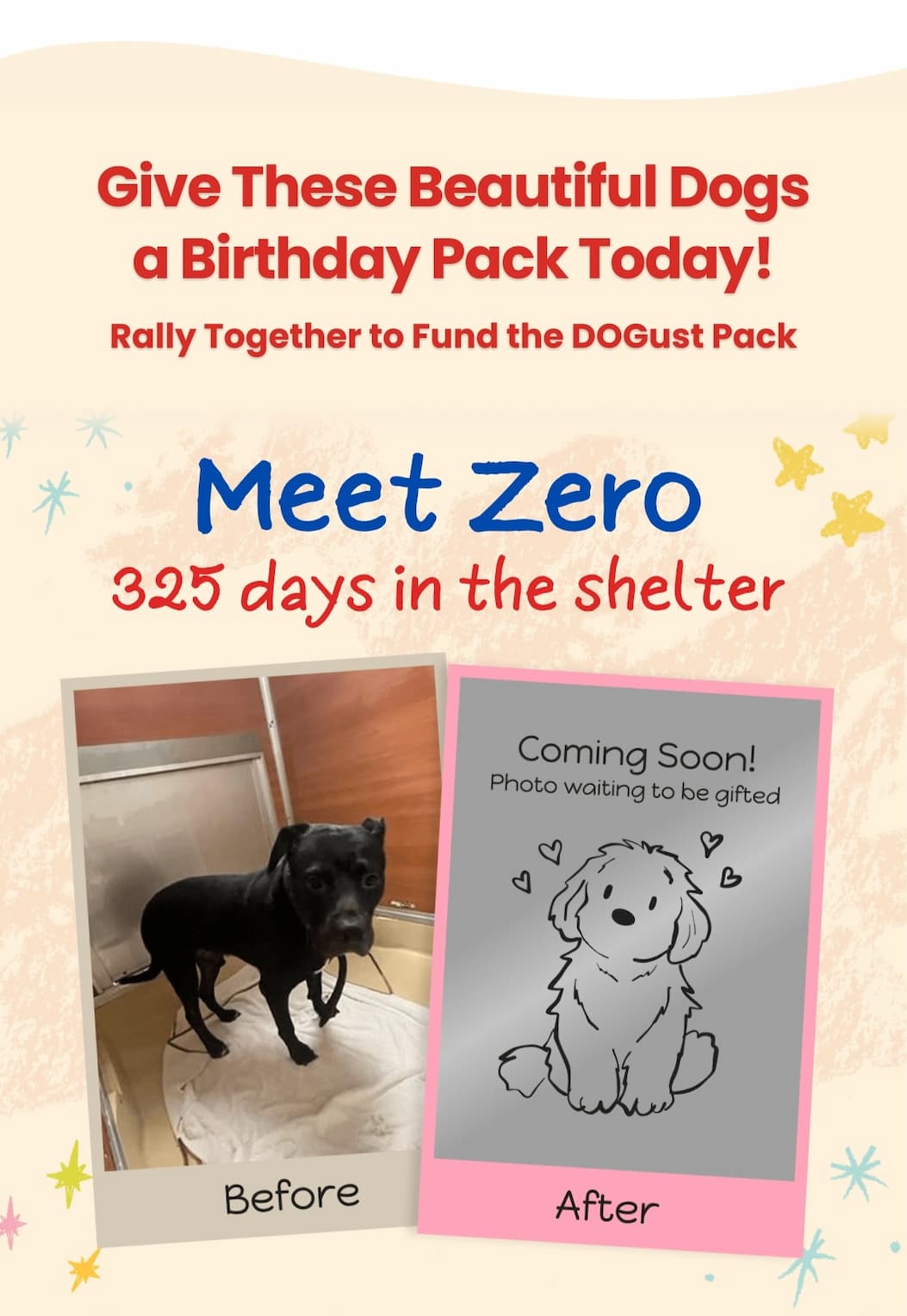 Give These Beautiful Dogs a Birthday Pack Today! Rally Together to Fund the DOGust Pack