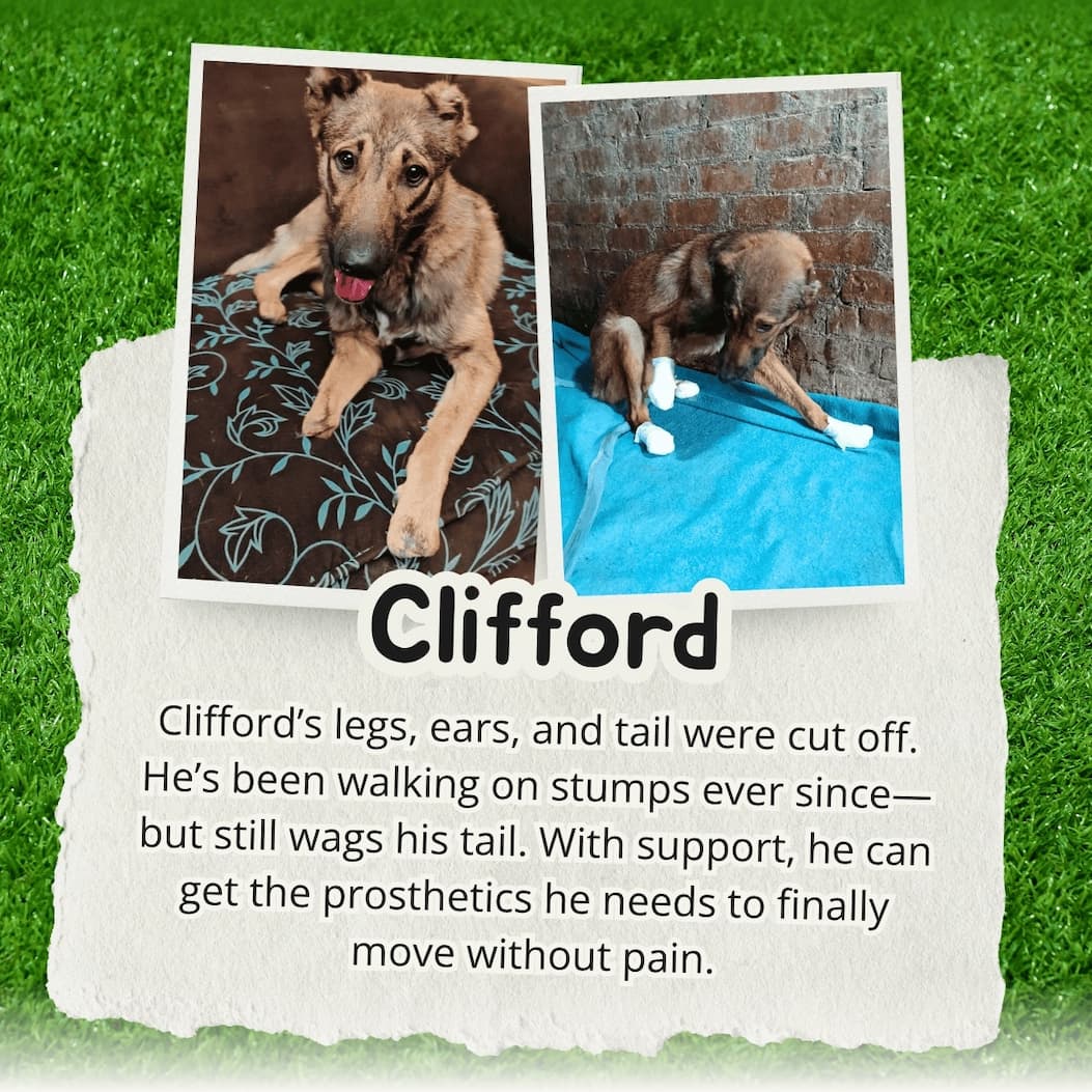 Clifford