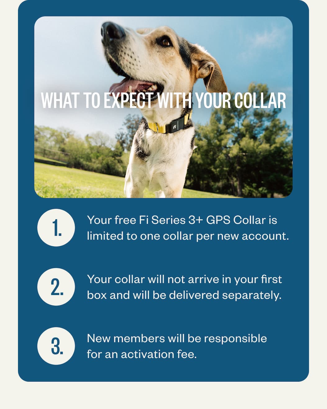 What to expect with your collar