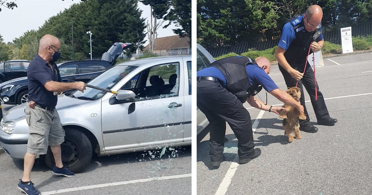 ‘Lifeless Dog’ Rescued From Sweltering Car By Man With Axe