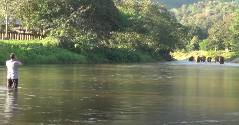 Their ‘Favorite’ Person Returns After 14-Months, And They Came Running