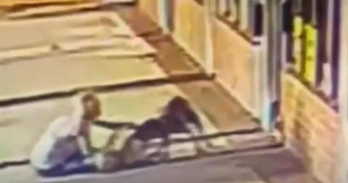 Elderly Woman Bites Dog’s Neck to Save Her Own Dog During Vicious Attack