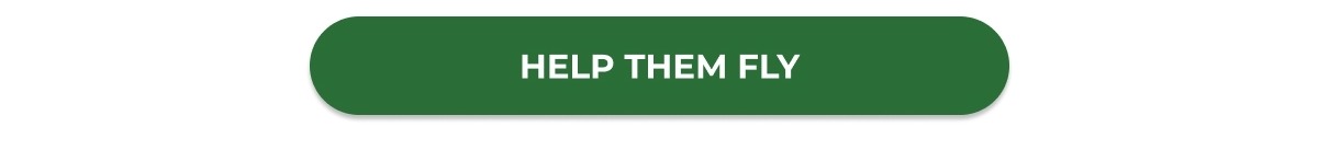 HELP THEM FLY