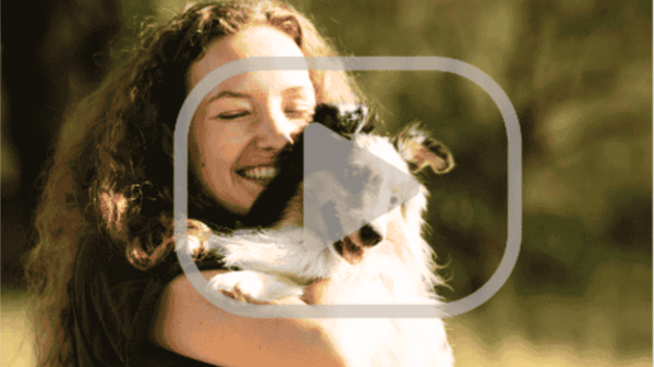 If Your Dog Licks Their Paws - Top Vet Says Do This Daily