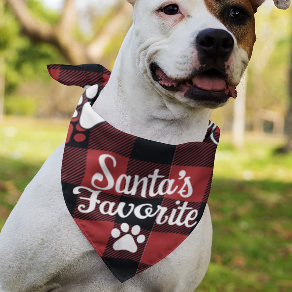 Free red plaid "Santa's Favorite" bandana