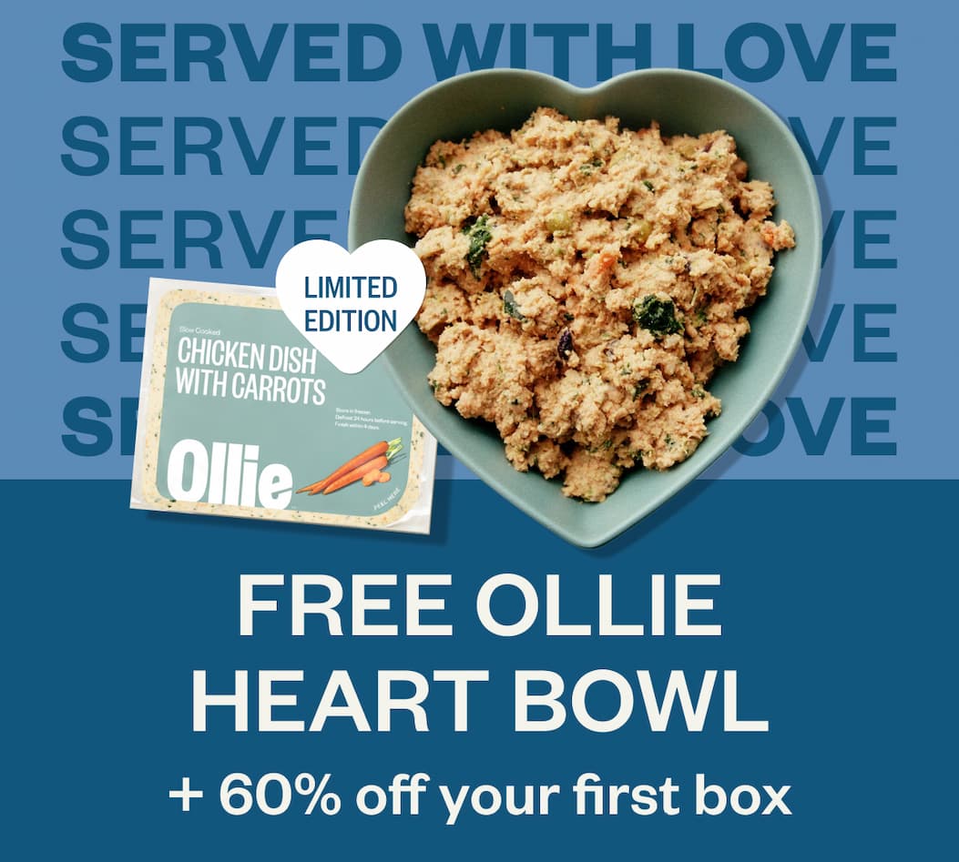 Free Ollie Heart Bowl