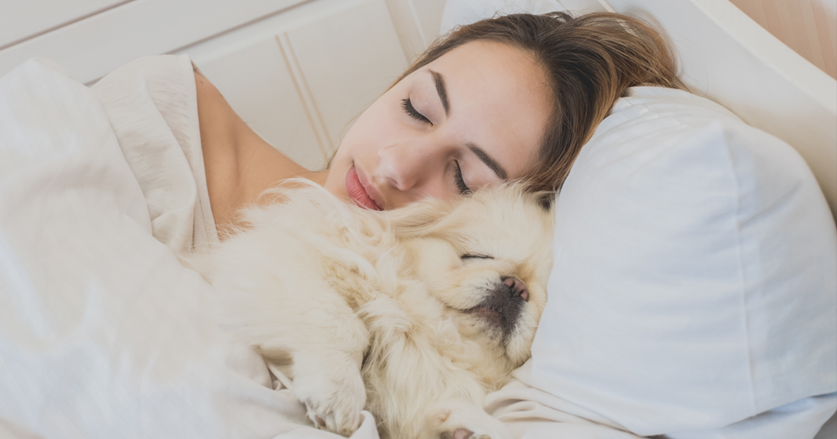 6 Best Human Dog Bed Products For Cuddling With Your Canine