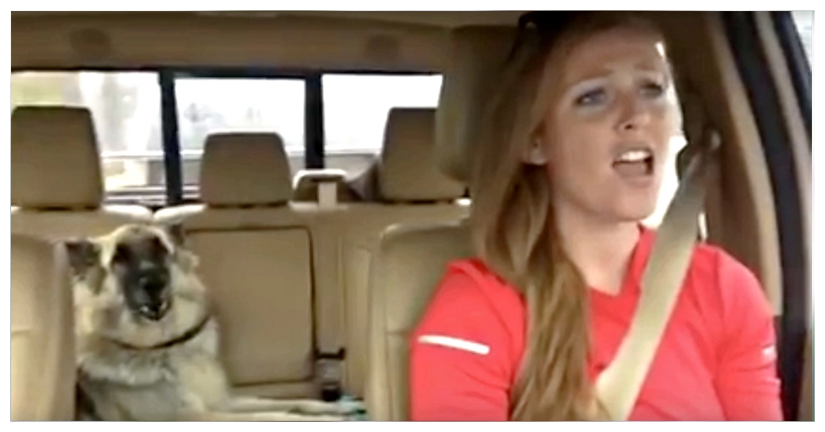 Dog’s ‘Favorite Song’ Comes On Radio, Mom Decides To Join In For Duet-Performance