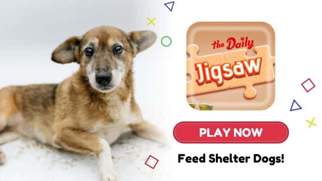 Help Shelter Dogs: Play The Daily Jigsaw, Earn Their Meals