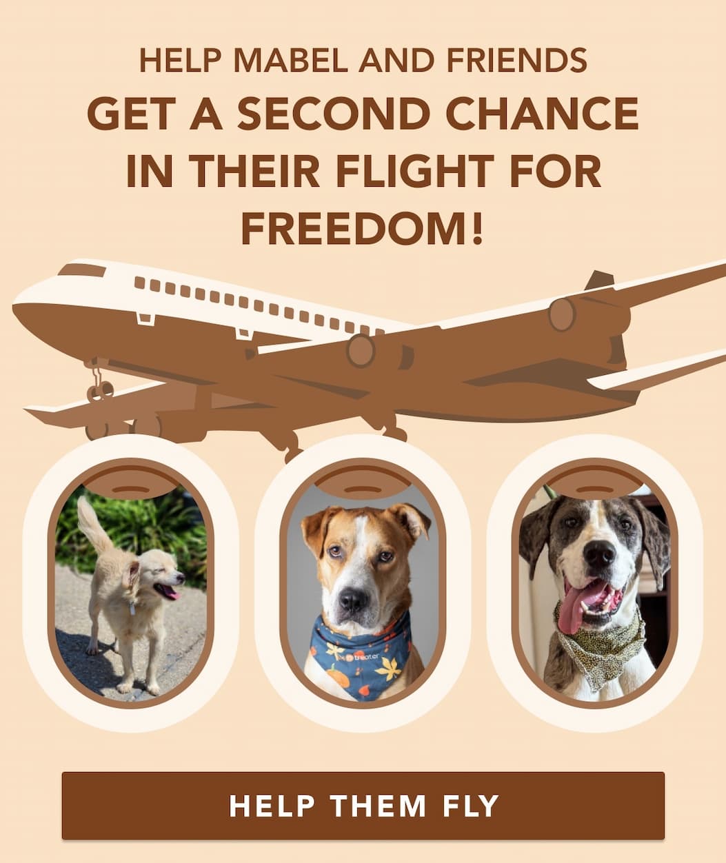 HELP MABEL AND FRIENDS GET A SECOND CHANCE IN THEIR FLIGHT FOR FREEDOM!