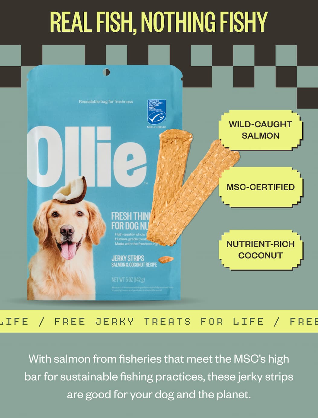 Real fish, nothing fishy