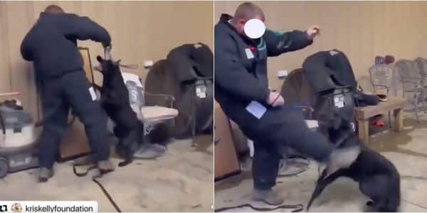 Police Failed to Investigate a Suspicious K9 Trainer