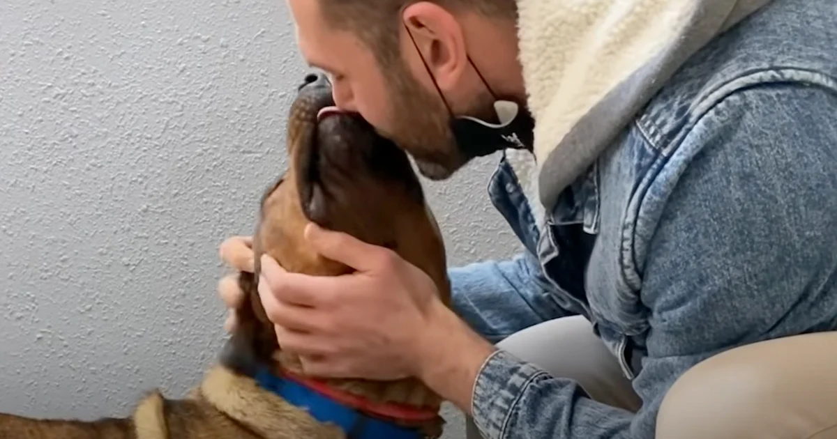 Man Meets Dog He’s Told Is ‘Aggressive’ Then Reads Note From Former Owners