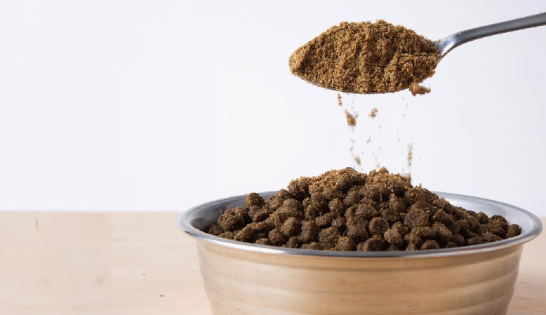 16 Best Dog Food Toppers