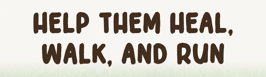 Help Them Heal, Walk, and Run