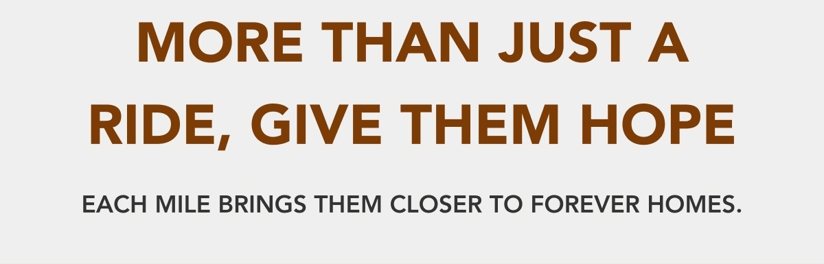 More Than Just a Ride, Give Them Hope - Each mile brings them closer to forever homes.