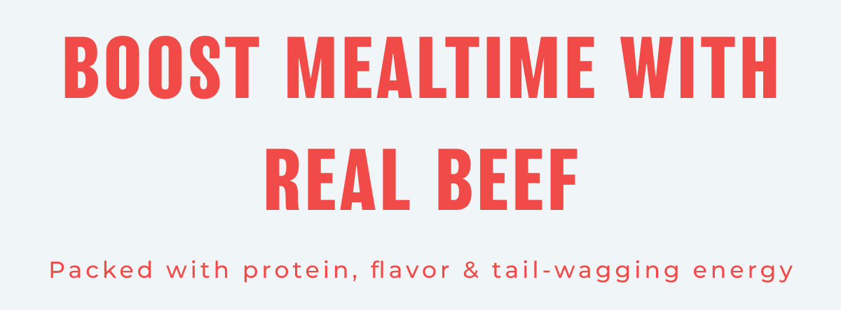 Boost Mealtime with Real Beef - Packed with protein, flavor & tail-wagging energy