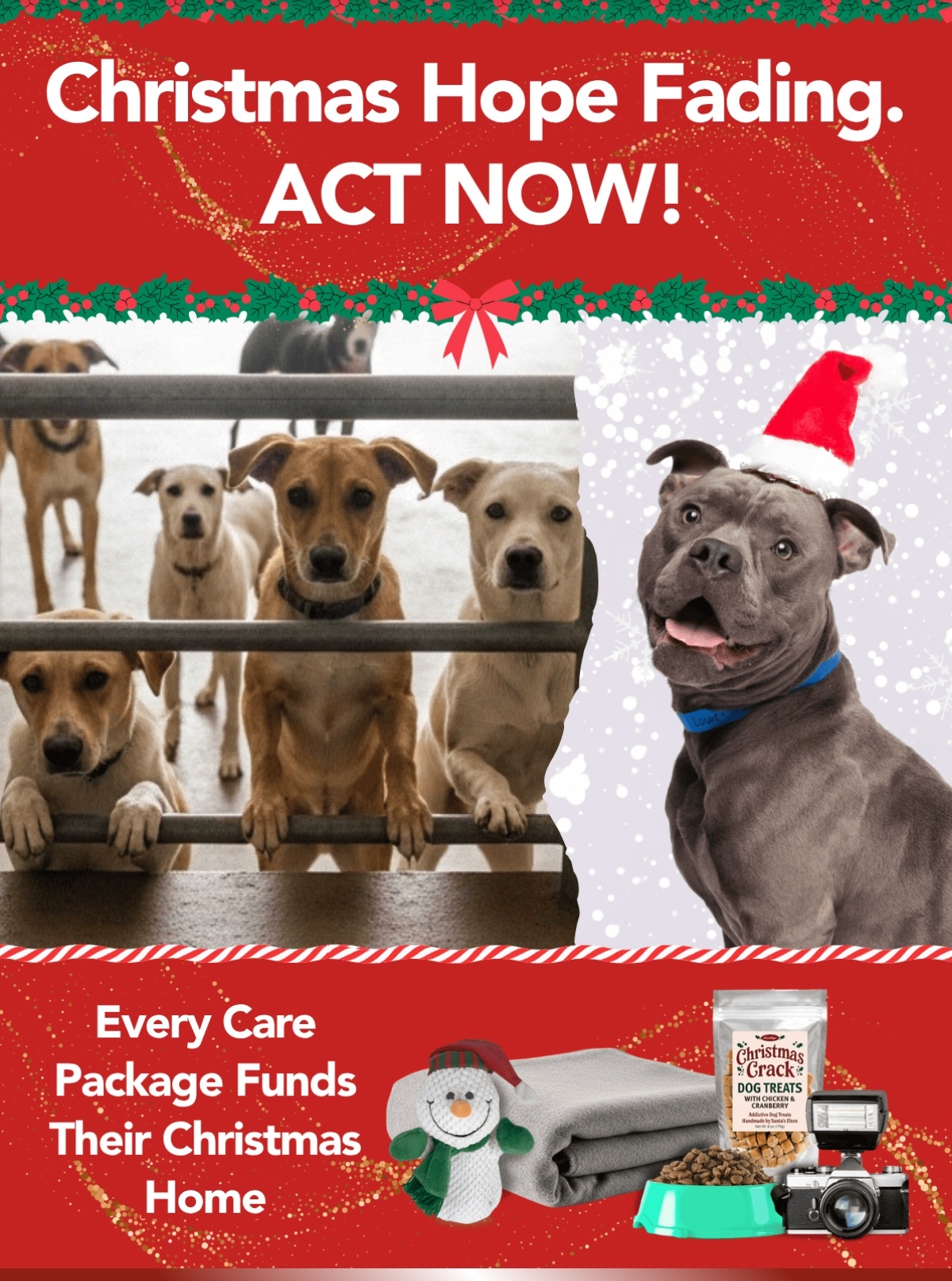 Christmas Hope Fading. ACT NOW! - Every Care Package Funds Their Christmas Home