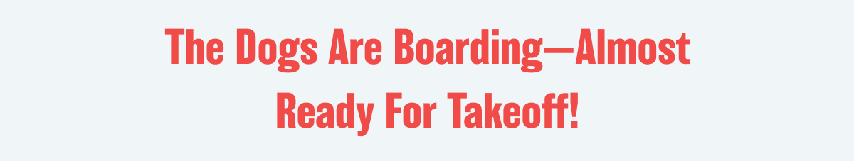 The Dogs Are Boarding--Almost Ready For Takeoff!