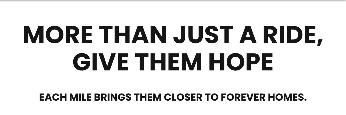 More Than Just a Ride, Give Them Hope - Each mile brings them closer to forever homes.