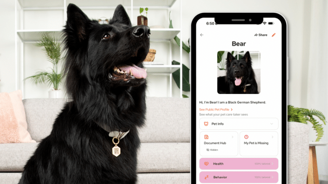 Discover the Smart Pet Tag Revolutionizing Dog Safety and Care