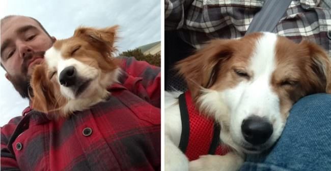 Abandoned Dog & Broken-Hearted Tough Guy Rescue Each Other