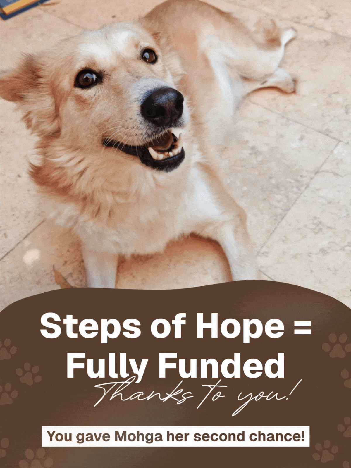 Steps Of Hope Project