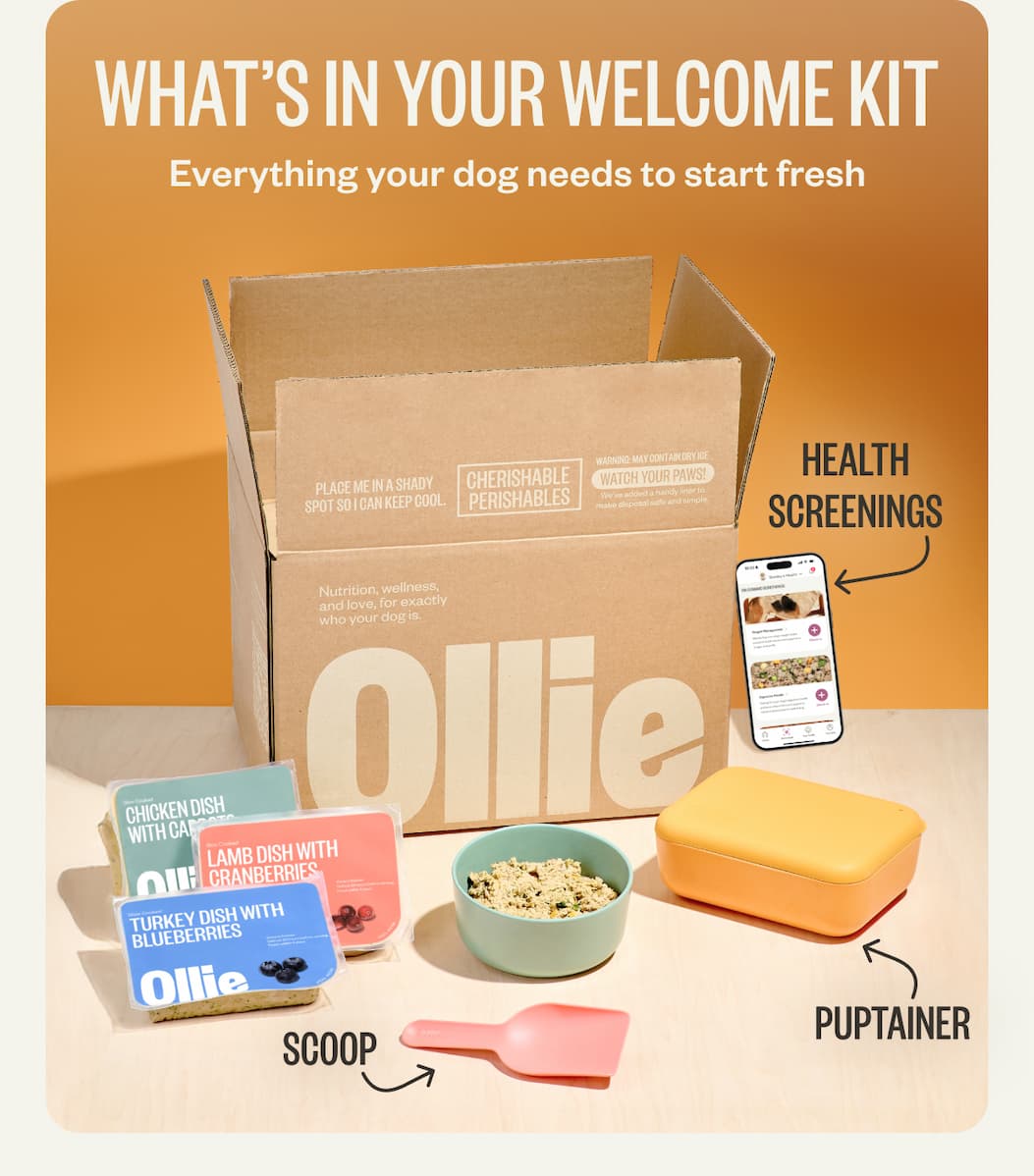 What's In Your Welcome Kit