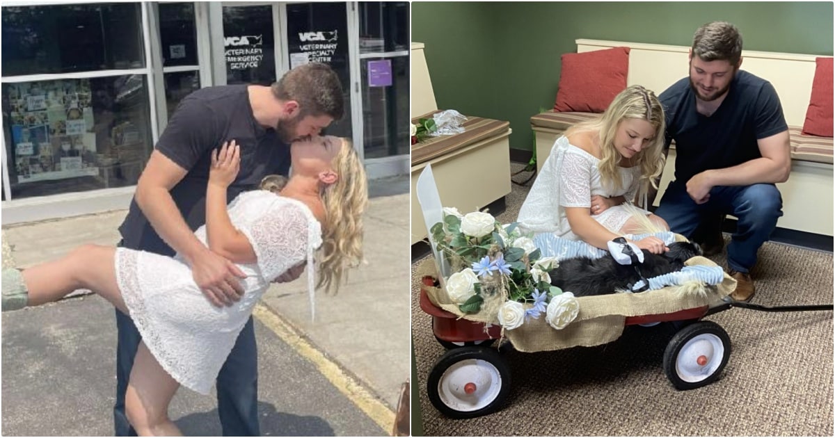 Couple Has ‘Last Minute’ Wedding At Vet’s Office So Their Dog Could Attend