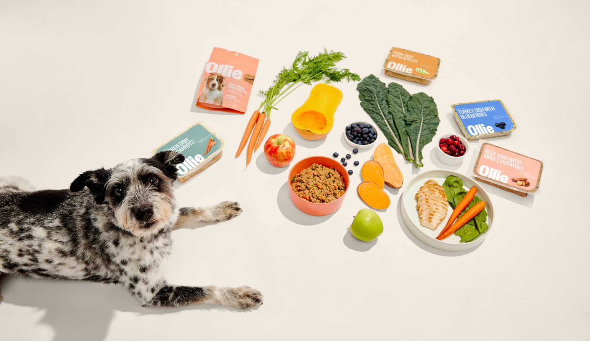 Say Goodbye to Fillers: Ollie’s Real Food Revolution for Dogs