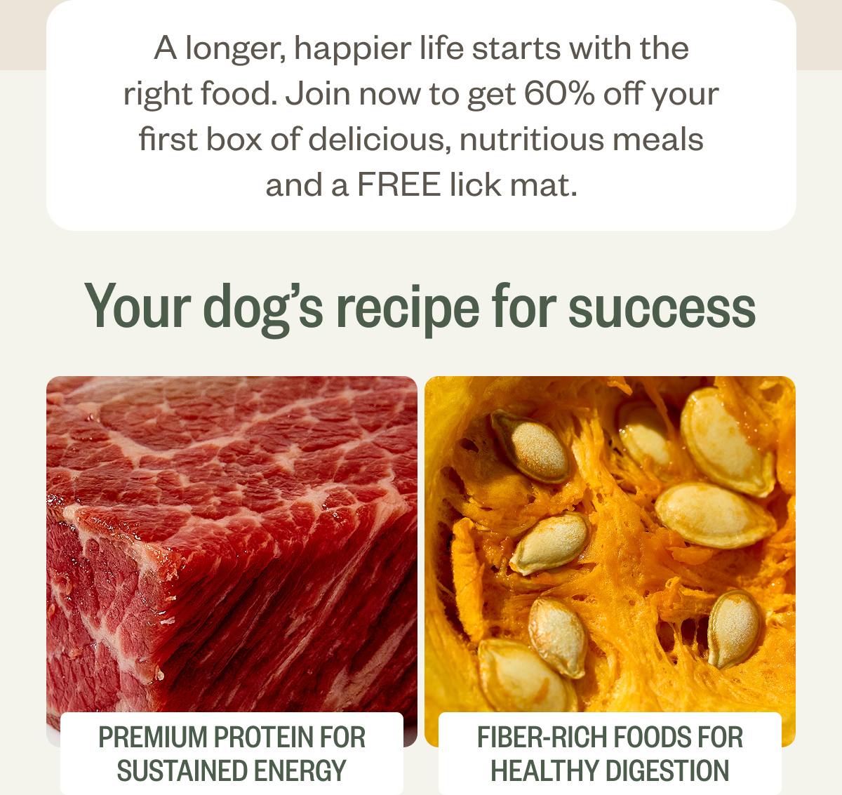 Your dog's recipe for success