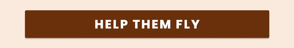HELP THEM FLY