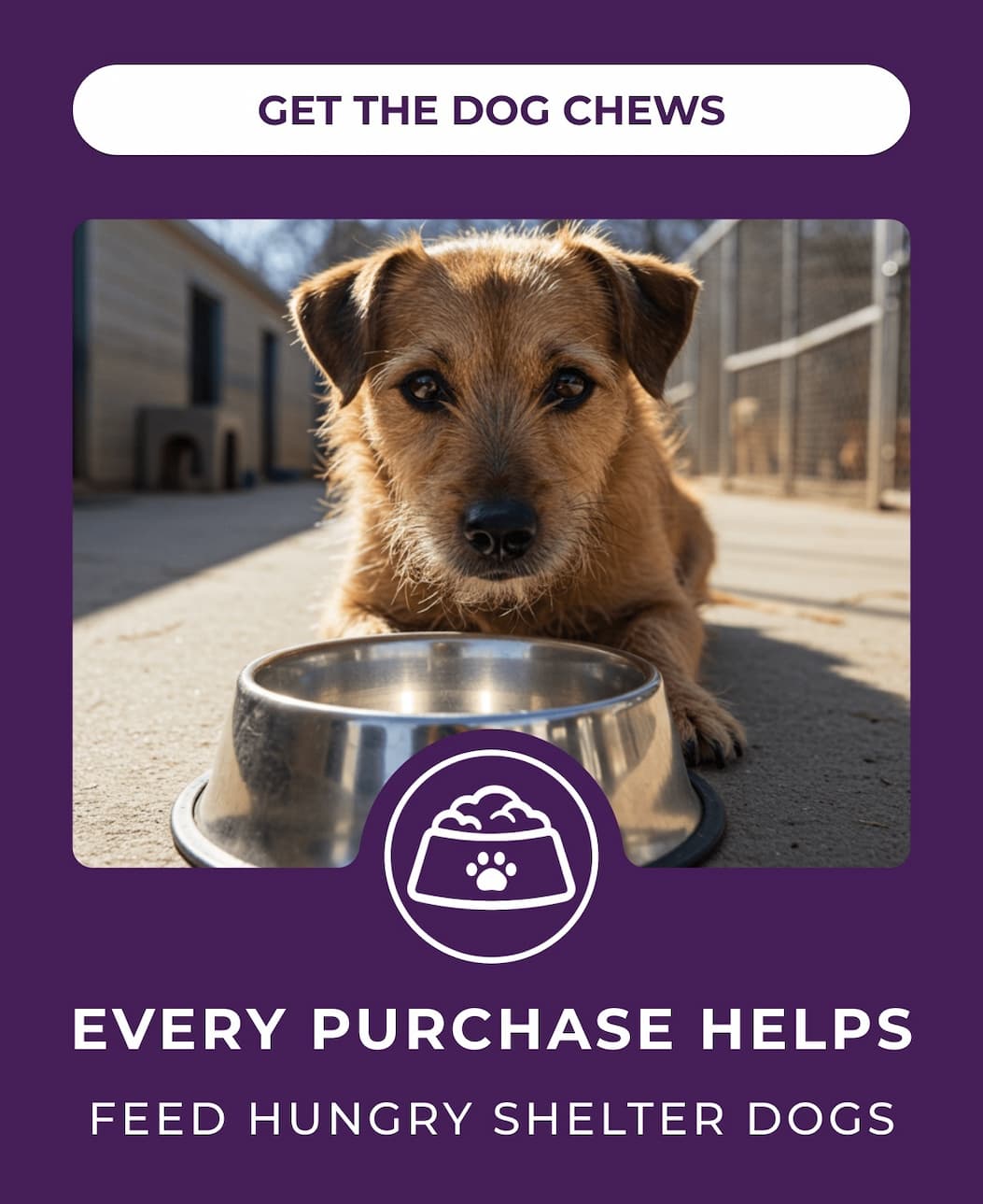 Every Purchase Helps Feed Hungry Shelter Dogs