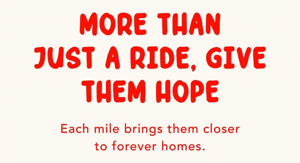 More Than Just a Ride, Give Them Hope - Each mile brings them closer to forever homes.