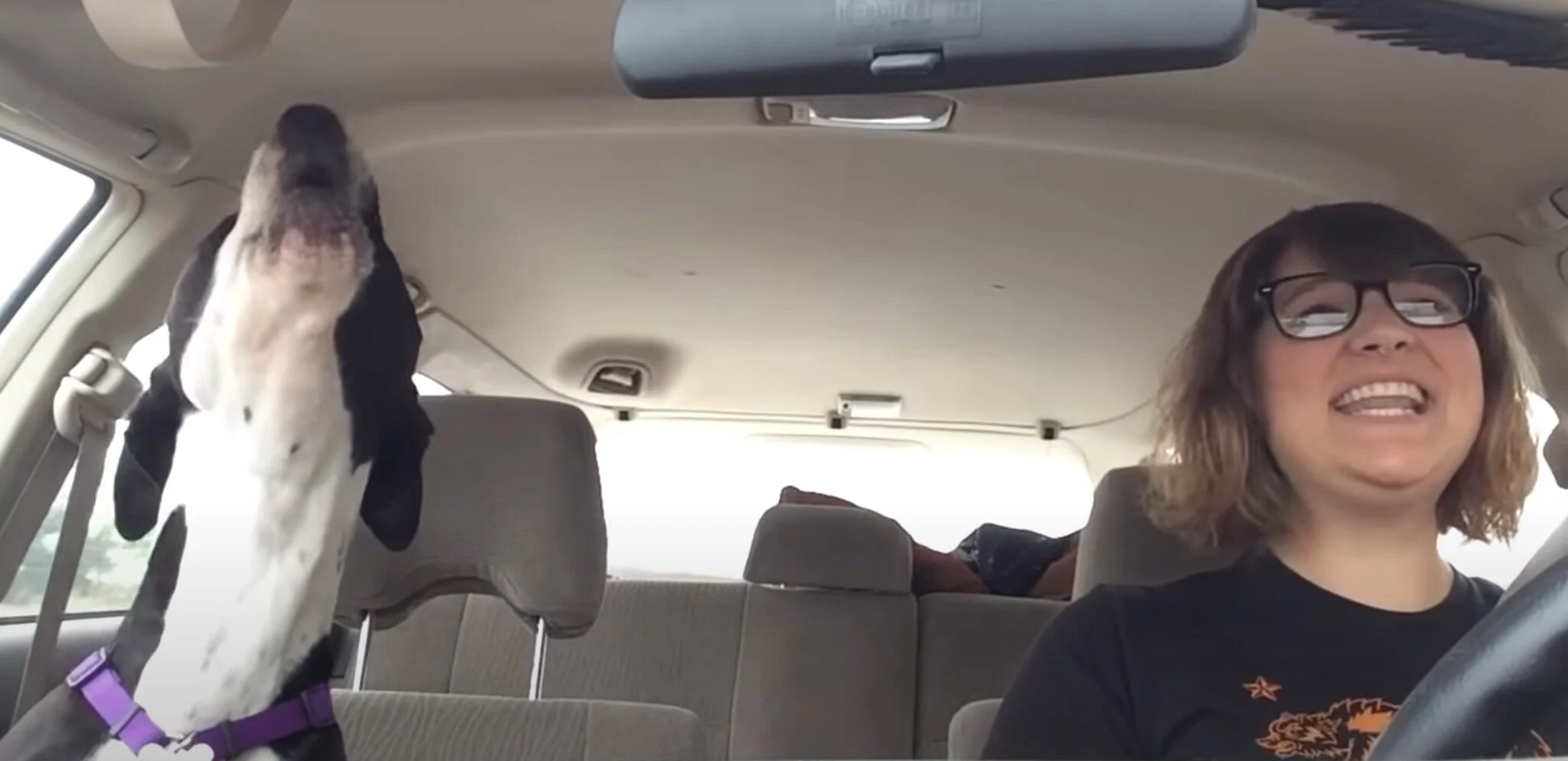 Mom And Dog Take A Car Ride, Break Into Song When Michael Jackson Plays On The Radio