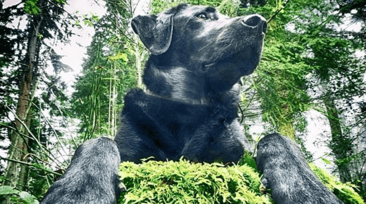7 Interesting Facts About CBD Oil You May Not Know