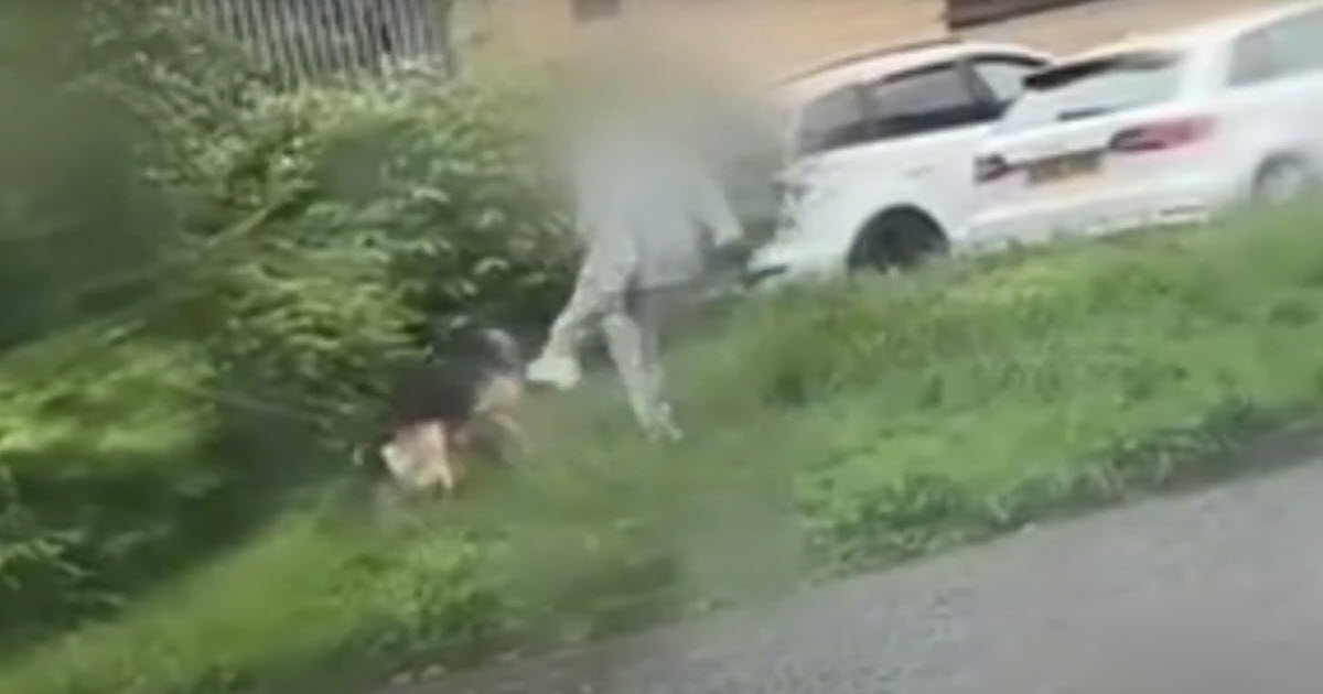 Woman Caught on Video Repeatedly Kicking Her Dog Sparks Outrage and Investigation