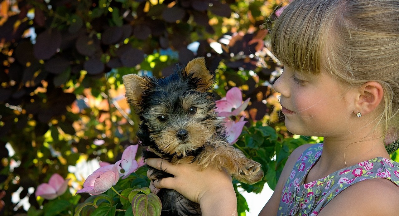 The 10 Most Adaptable Dog Breeds