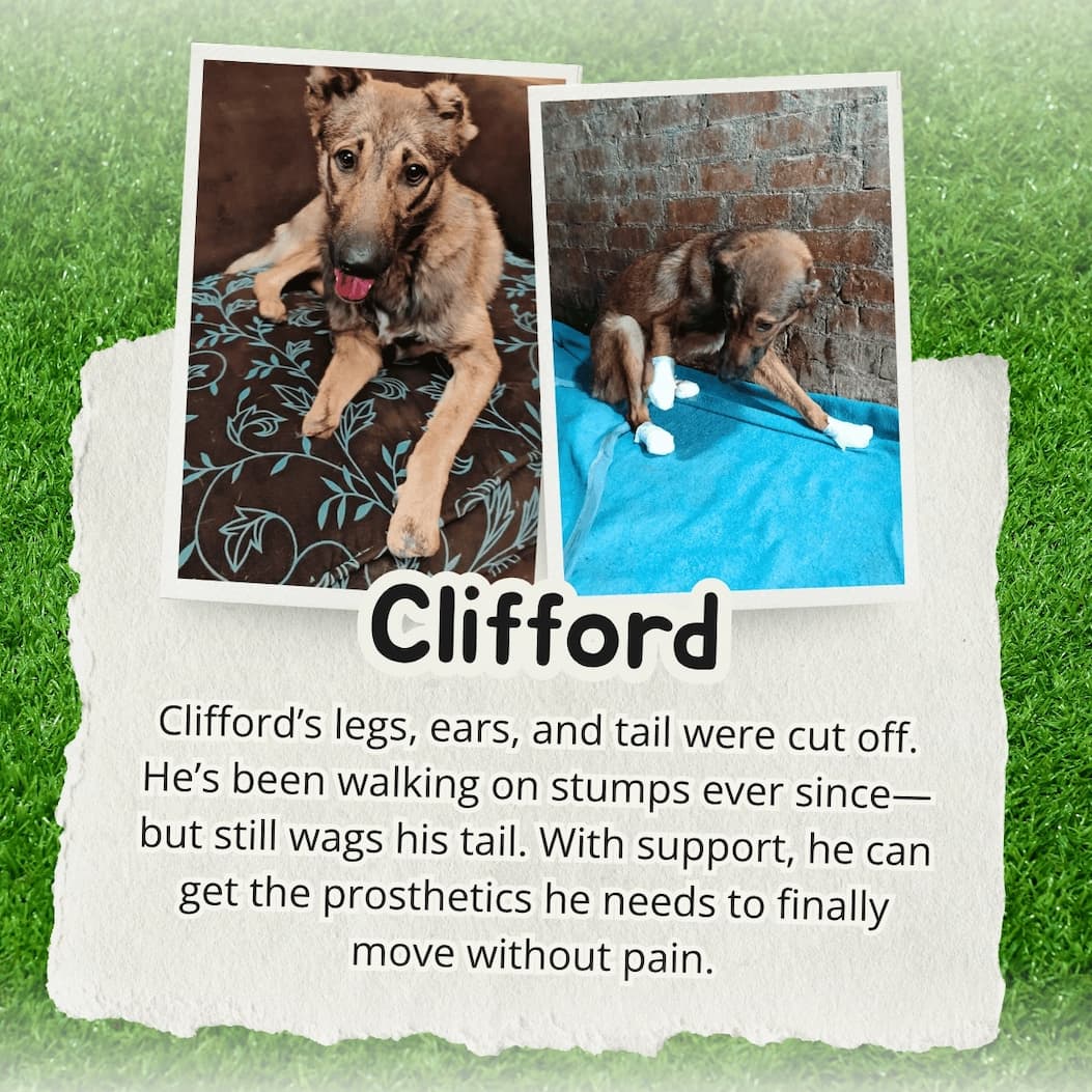 Clifford