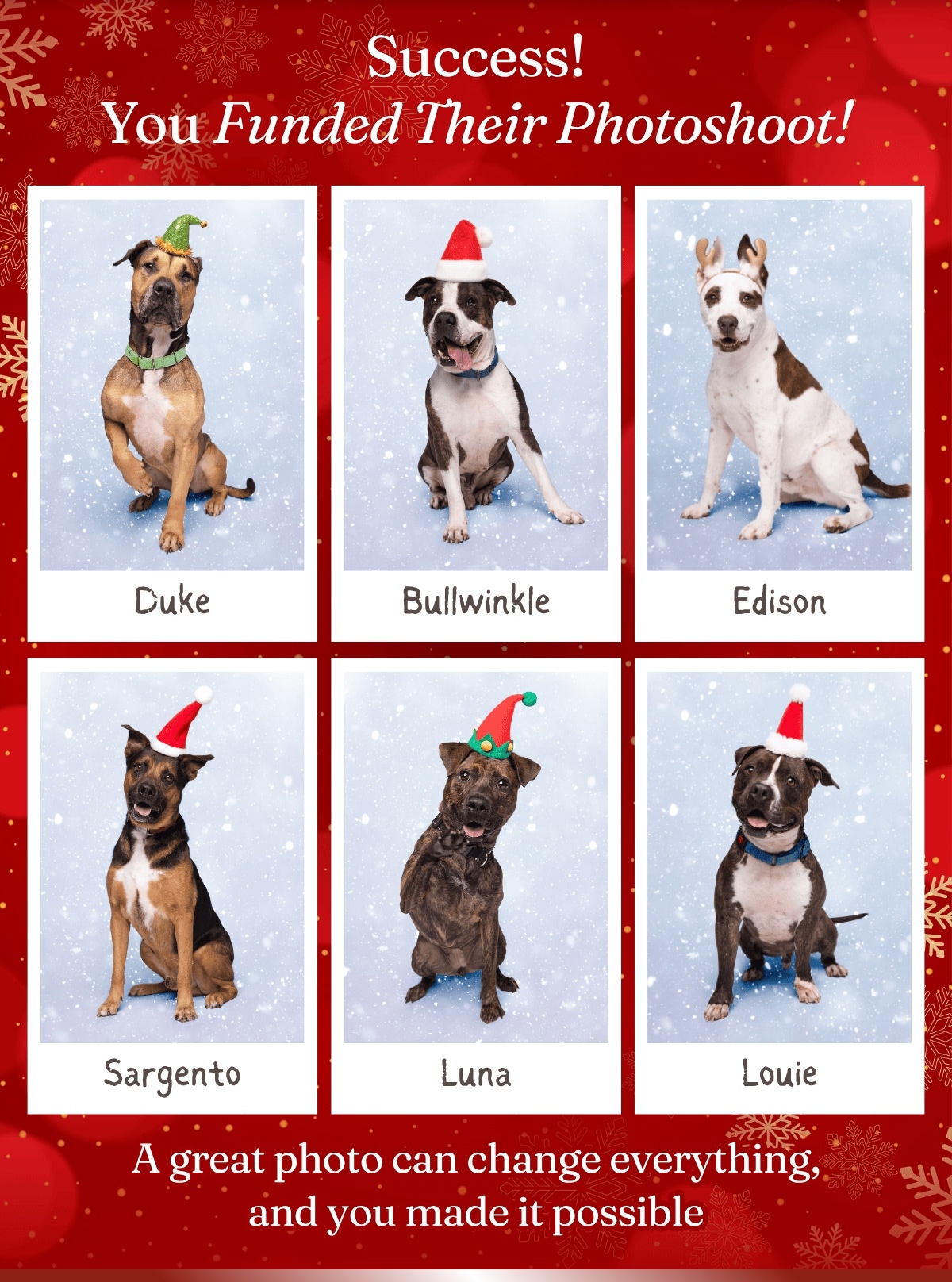 Success! You Funded Their Photoshoot!